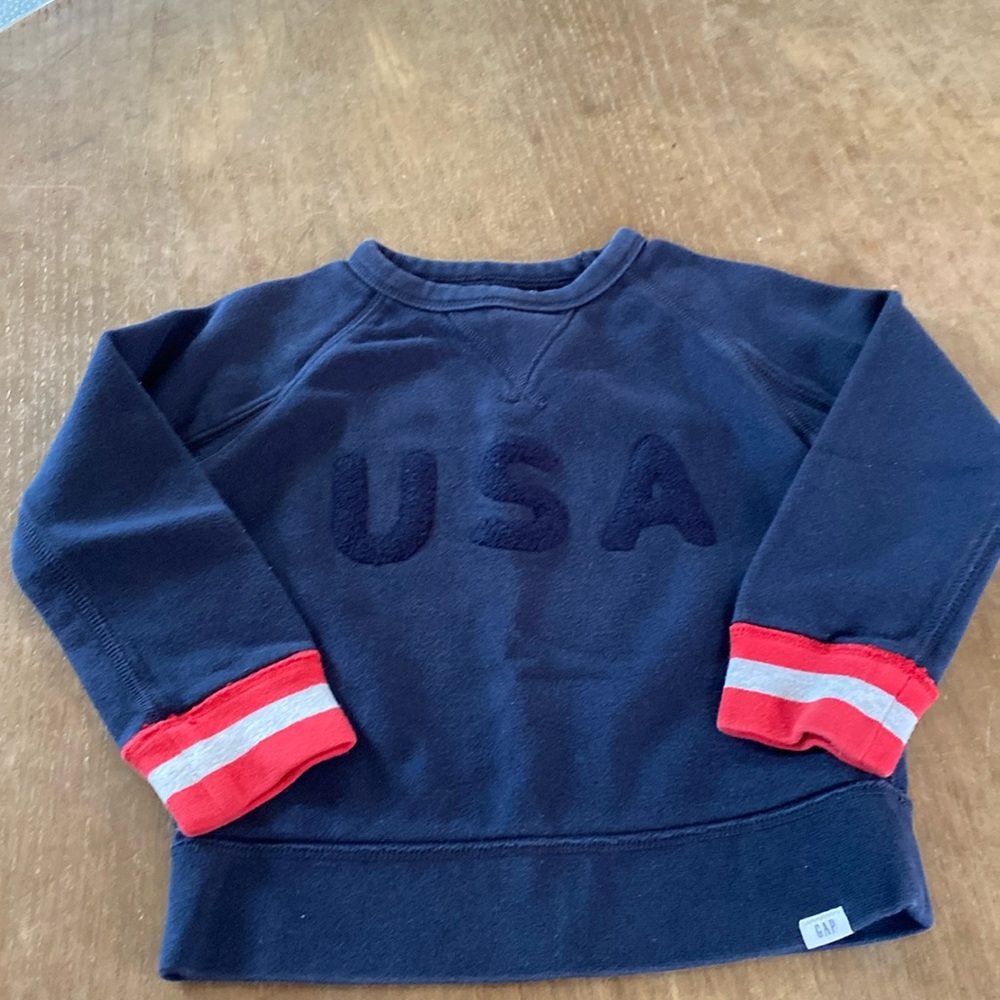 Toddler USA Sweatshirt
